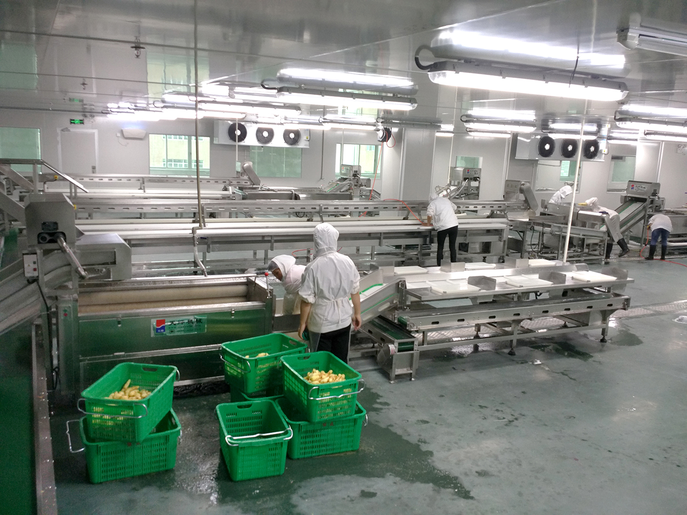 广州LC餐饮供应链-净菜加工中心