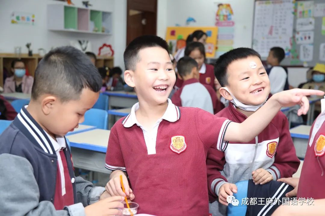 初夏蔷薇飘香，王府少年成长——成都王府小学部家长开放日