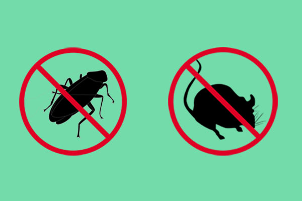 CPCO中虫协：餐饮门店该怎样防治蟑螂和老鼠