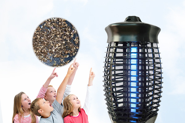 有害生物防制资：教你如何正确使用灭蚊灯