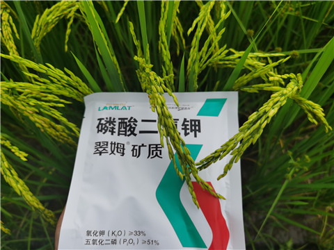 好的水溶肥,用实力说话 好的水溶肥,用实力说话