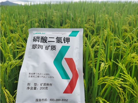 好的水溶肥,用实力说话 好的水溶肥,用实力说话