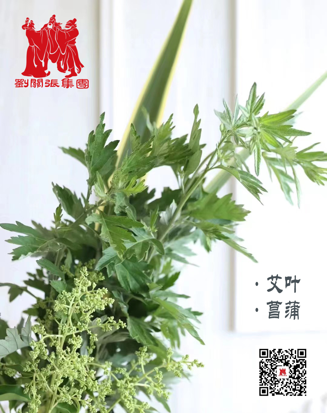 端午節  端午安康，粽享佳節