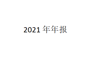 2021年年报