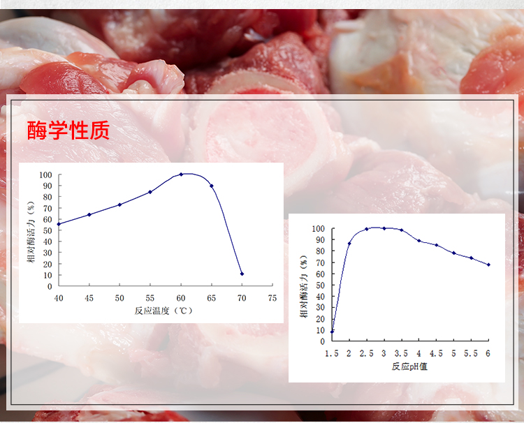 夏盛固体食品级537酸性蛋白酶5万酶活(水解动物蛋白/粮食生产酒精/酿造行业可用)FDG-2240