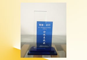 中国自动化控制系统奖