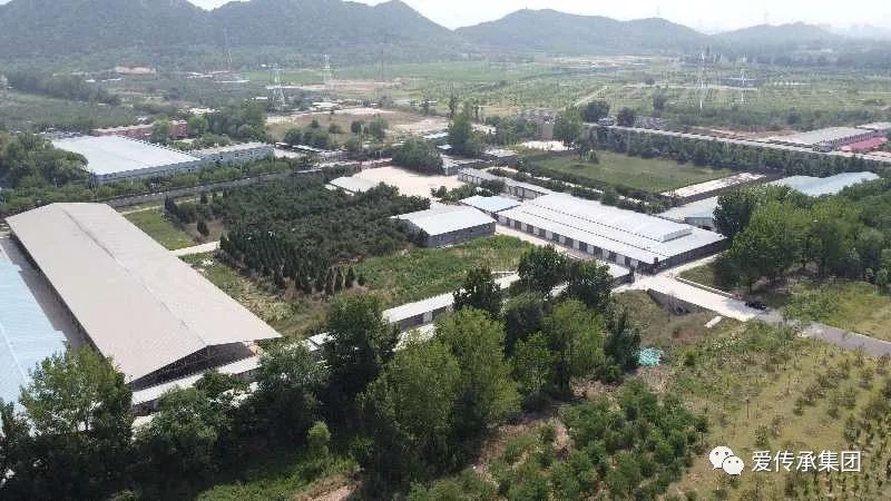 爱传承集团对“享服邻里”养老公社进行多地选址并组织实地考察 爱传承集团对“享服邻里”养老公社进行多地选址并组织实地考察