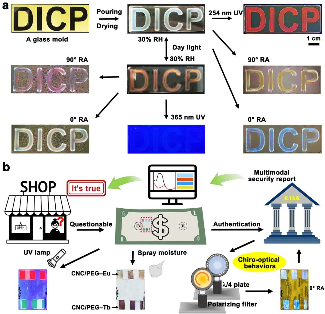 【动态】大连化物所制备出新型手性光子防伪薄膜