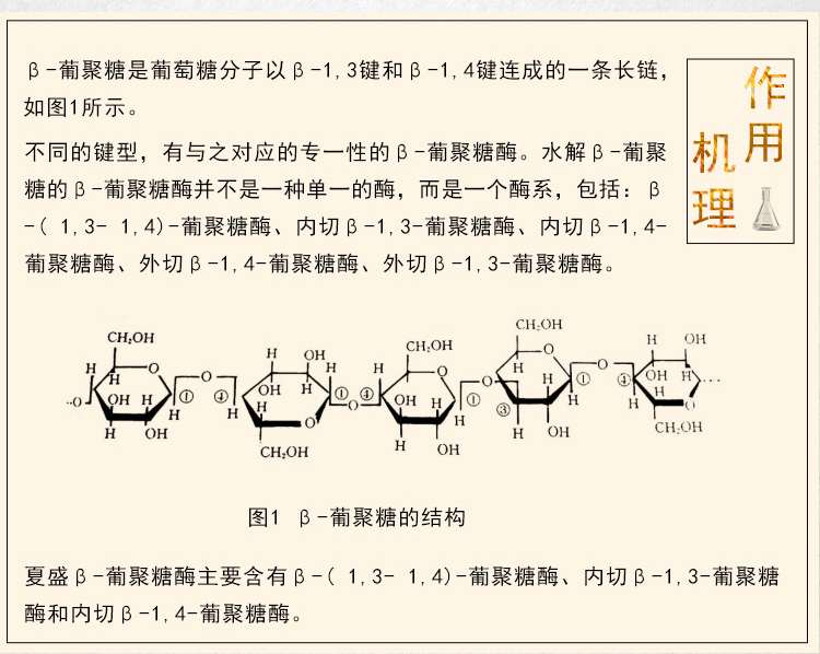 夏盛固体食品级β-葡聚糖酶14万酶活(BGS型/降解细胞壁中的β-葡聚糖)FDG-2219