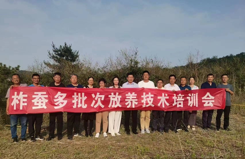 柞蚕多批次放养技术培训会在乳山举办 柞蚕多批次放养技术培训会在乳山举办