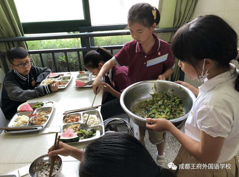 劳动教育课程 | 王府万象“耕”新，学生收获满满