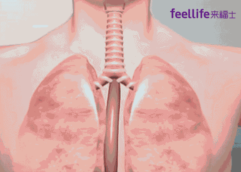 Inhaled vaccine is about to come out, using atomization to directly achieve mucosal immunity Inhaled vaccine is about to come out, using atomization to directly achieve mucosal immunity