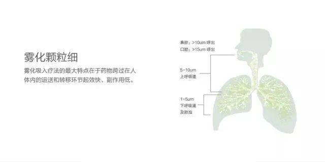 One dose is stronger than five! Shenzhen Raffles Medical Nebulized Inhalation Vaccine Equipment amaz One dose is stronger than five! Shenzhen Raffles Medical Nebulized Inhalation Vaccine Equipment amaz