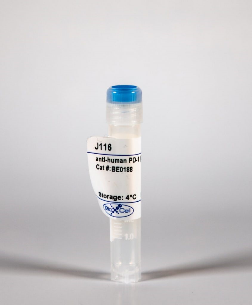 BioXCell热销产品—InVivoMAb anti-human PD-1 (CD279)（Clone：J116）