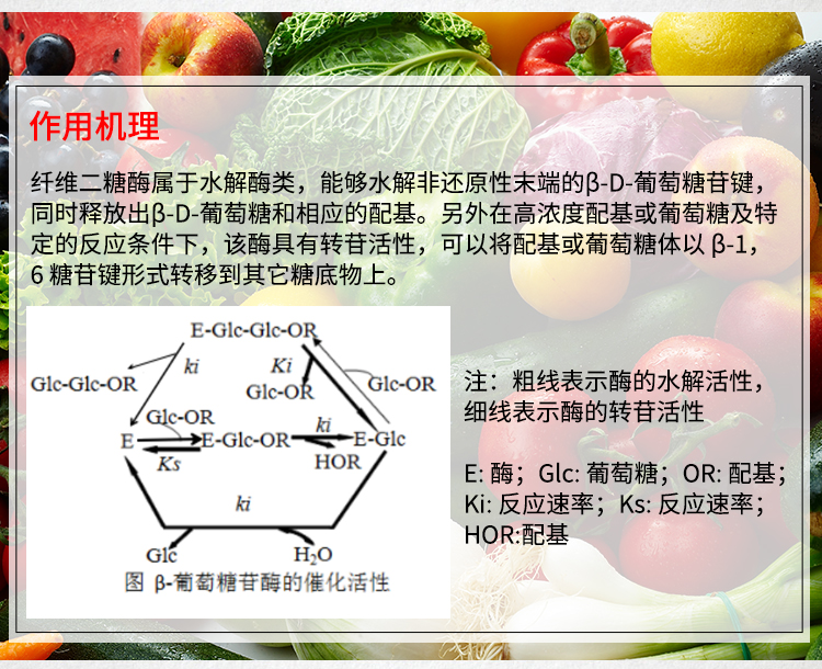 夏盛液体食品级半纤维素酶5万酶活(降解半纤维素/消除抗营养性)FDY-2263