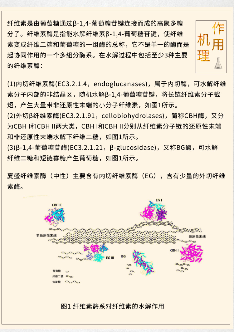 夏盛固体食品级纤维素酶5000酶活(全组分型/酿造工业)FDG-2226