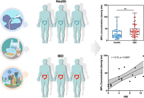 外卖和瓶装水正在摧毁你的身体！科学家在肠道疾病患者中检测到大量微塑料