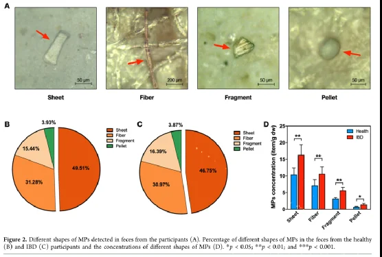 外卖和瓶装水正在摧毁你的身体！科学家在肠道疾病患者中检测到大量微塑料