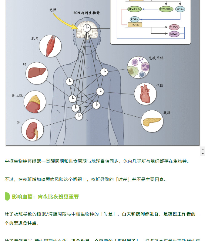 长期熬夜/夜班 + 吃夜宵 = 糖尿病养成计划！