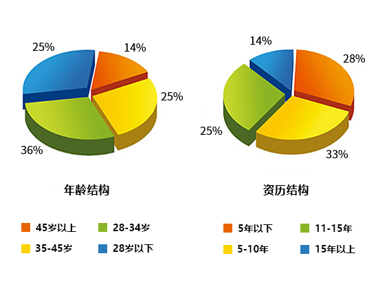 人员介绍