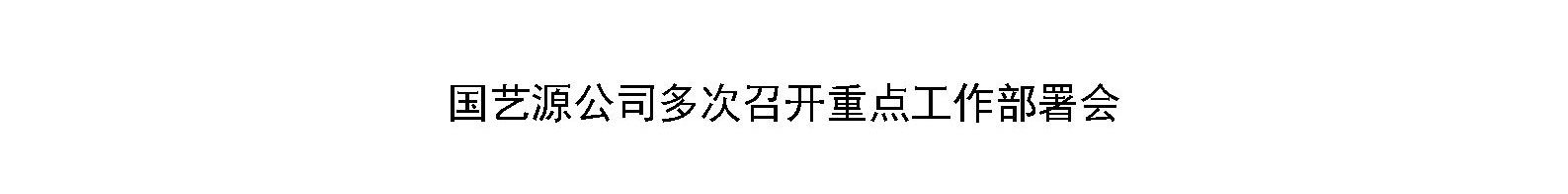 国艺源公司多次召开重点工作部署会