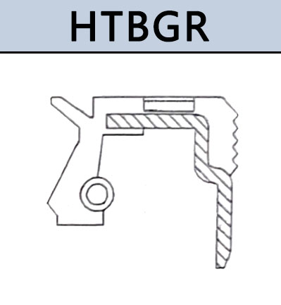HTBGR型