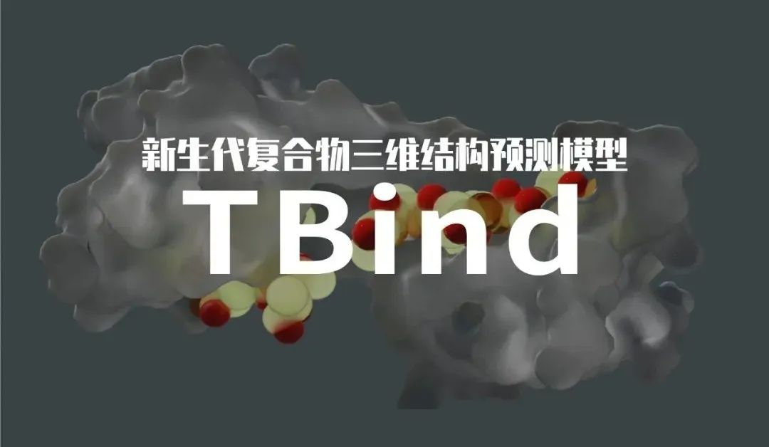 接力AlphaFold！星药科技重磅发布TBind-开启分子蛋白复合物结构预测新纪元