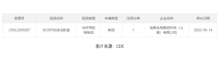 国内首个！宝船生物CLDN18.2/CD47双抗临床试验申请获NMPA受理 | 项目进展