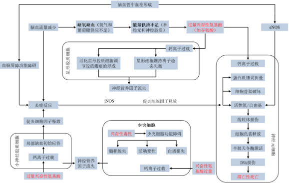 2022年急性脑卒中药物行业市场销售规模分析预测及重点企业竞争战略评估预测