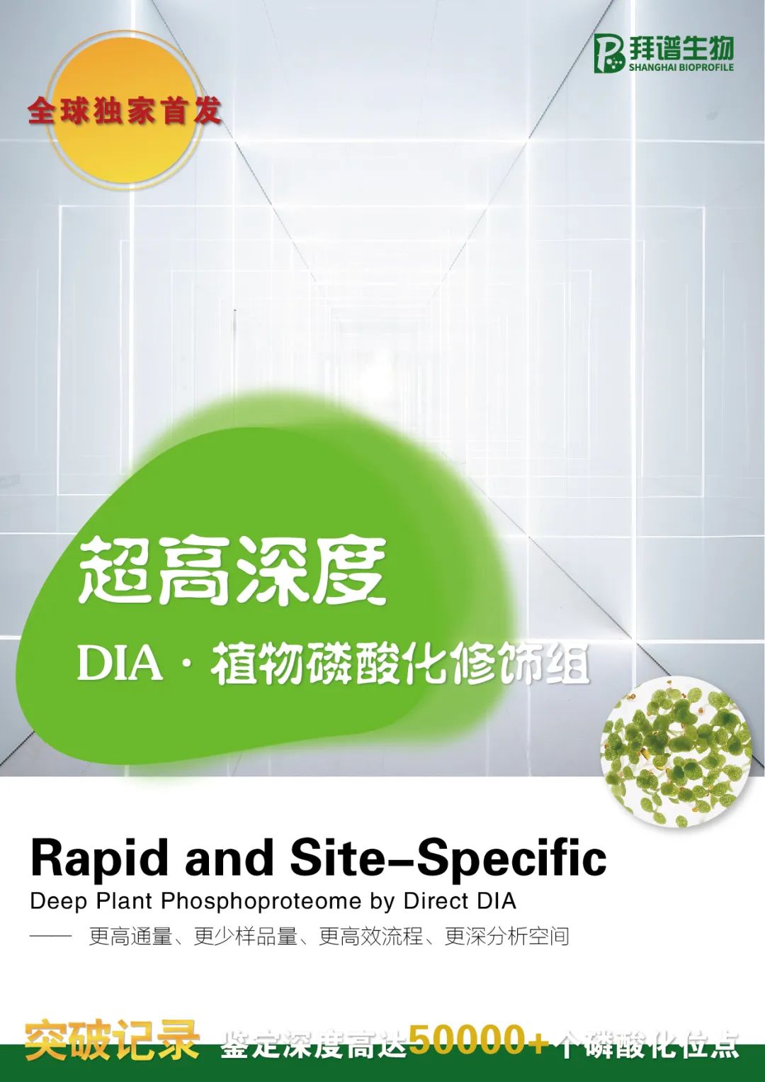 热文推荐｜HRMSI-DIA系统