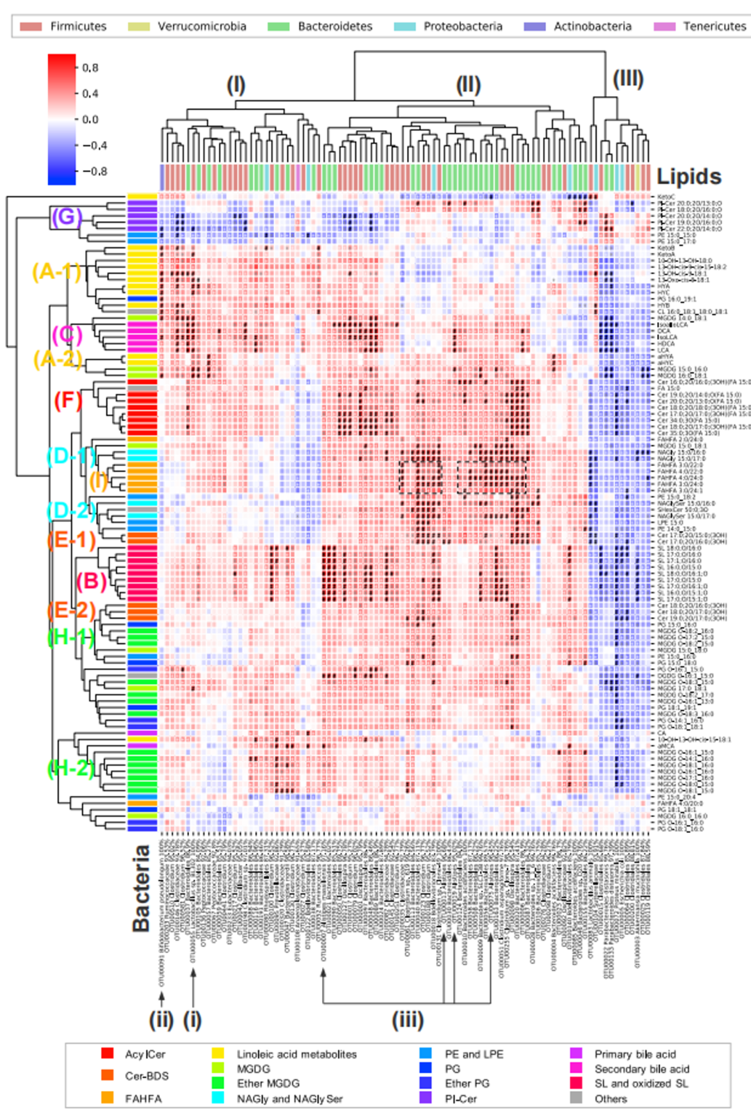 热门解读iScience｜利用组学LC-MS/MS和16S rRNA序列分析助力阐明肠道微生物相关脂质