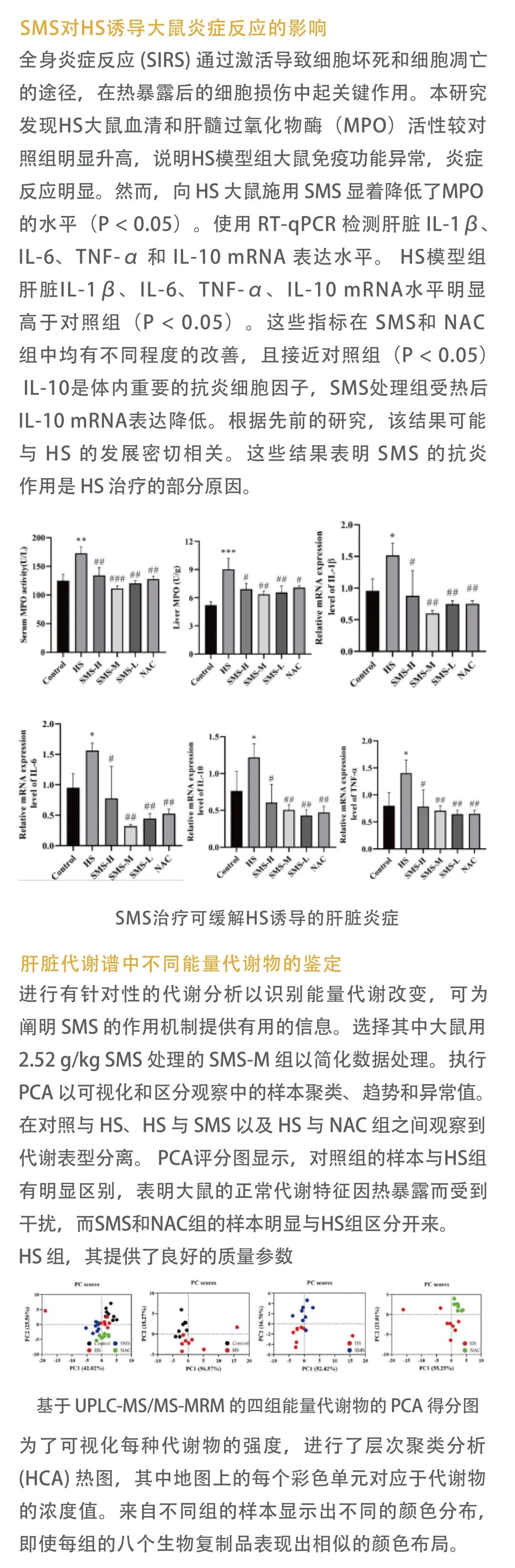 致谢文章｜甘肃农业大学魏彦明团队通过靶向能量代谢相关研究，改善热应激性肝损伤