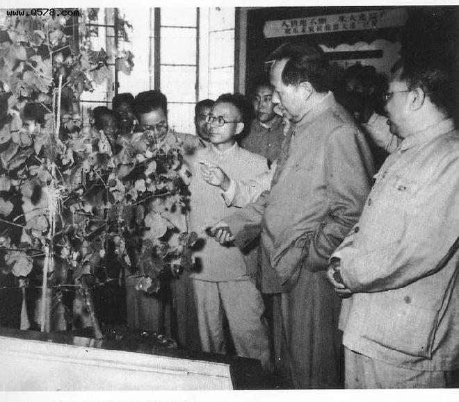 1958年，毛主席參觀安徽博物館，突然問：這條魚吃不吃人？