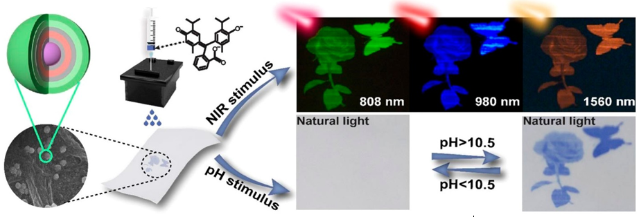 吉林大学秦伟平团队ACS Materials Lett. | 正交三基色发光、双重刺激响应防伪墨水