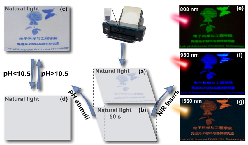 吉林大学秦伟平团队ACS Materials Lett. | 正交三基色发光、双重刺激响应防伪墨水