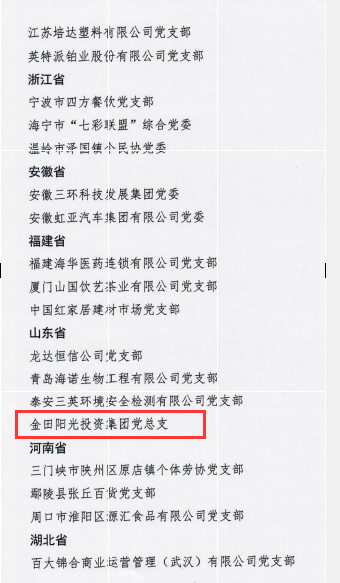 喜报！金田阳光投资集团党总支被评为全国“小个专”党建创新试点单位