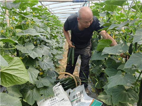 水溶肥能帮助种植户提高收入吗？
