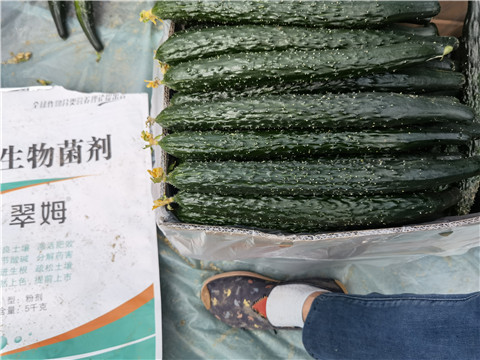 水溶肥能帮助种植户提高收入吗？