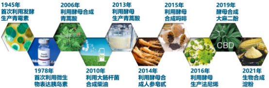 2022年全球及中国合成生物学行业市场产业链全景分析预测及投资规模可行性预测评估