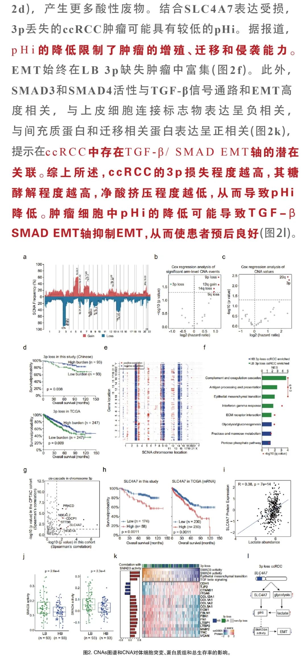 热文赏析|Nat Commun.多组学联合分析的临床价值!ccRCC临床表型以及结果潜在分子机制 热文赏析|Nat Commun.多组学联合分析的临床价值!ccRCC临床表型以及结果潜在分子机制