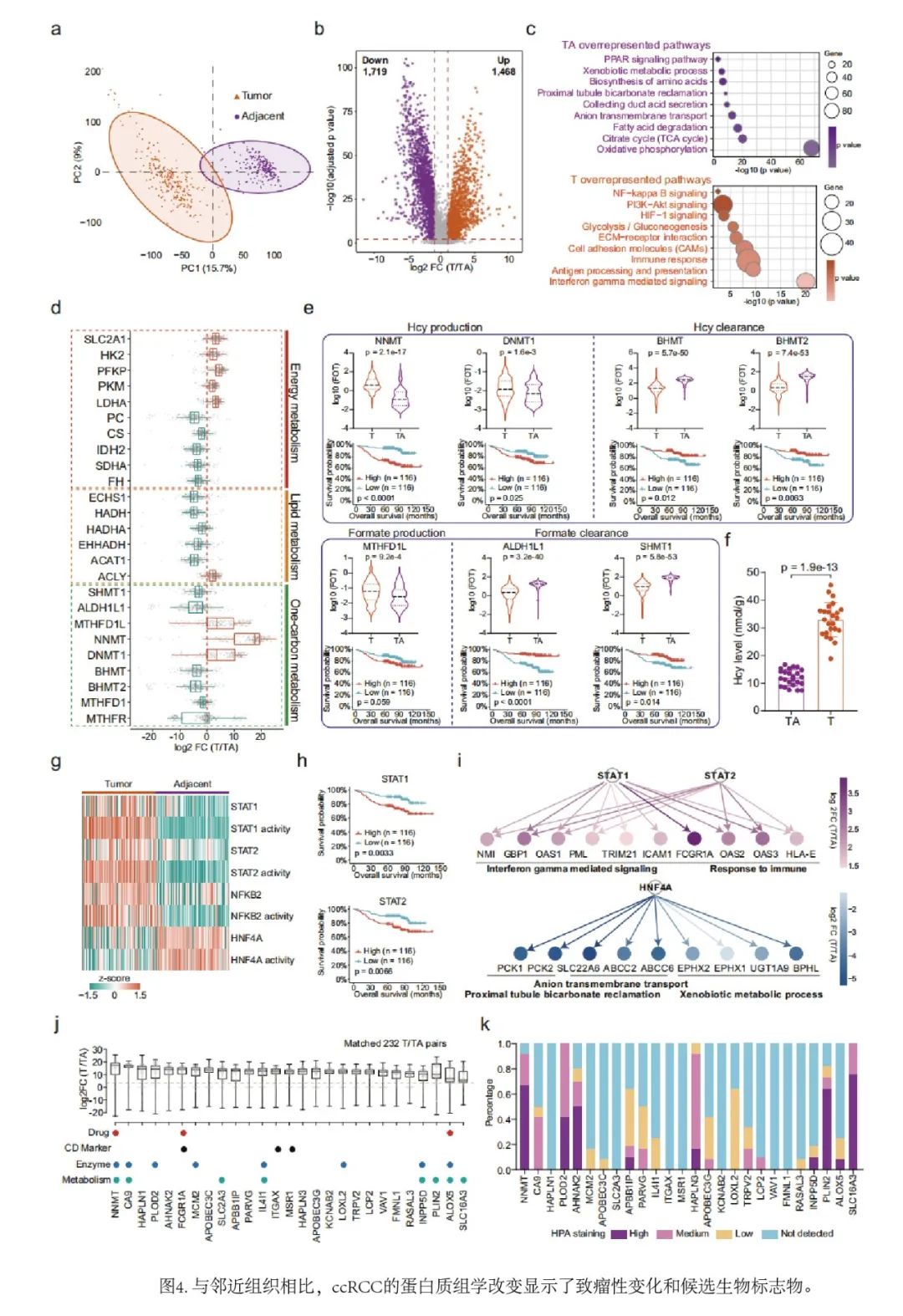 热文赏析|Nat Commun.多组学联合分析的临床价值!ccRCC临床表型以及结果潜在分子机制 热文赏析|Nat Commun.多组学联合分析的临床价值!ccRCC临床表型以及结果潜在分子机制