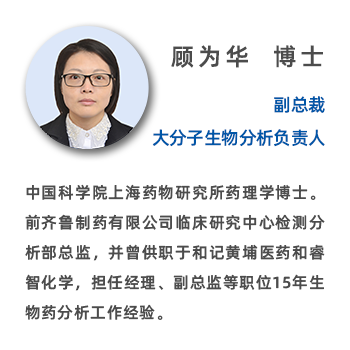 核心團隊