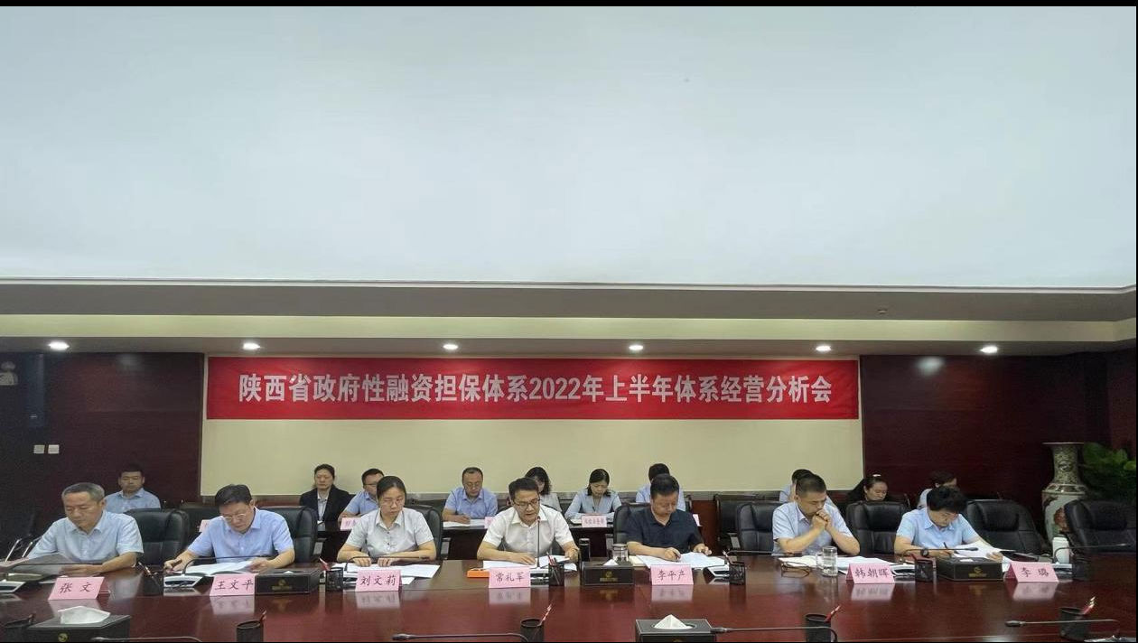 省再担保公司召开2022年上半年体系运营分析会