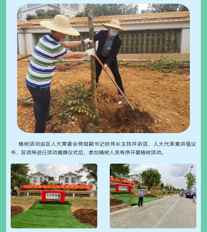 雄远动态｜ 履职践诺添新绿 人大代表植树忙——我所叶秀雄律师参加2022年番禺区人大代表林植树活动