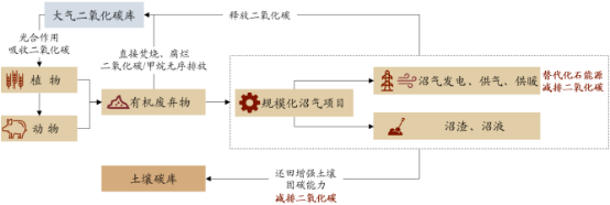 2022年生物质循环经济行业市场发展趋势分析及投资规模可行性预测咨询