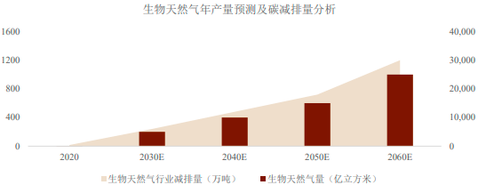 2022年生物质循环经济行业市场发展趋势分析及投资规模可行性预测咨询