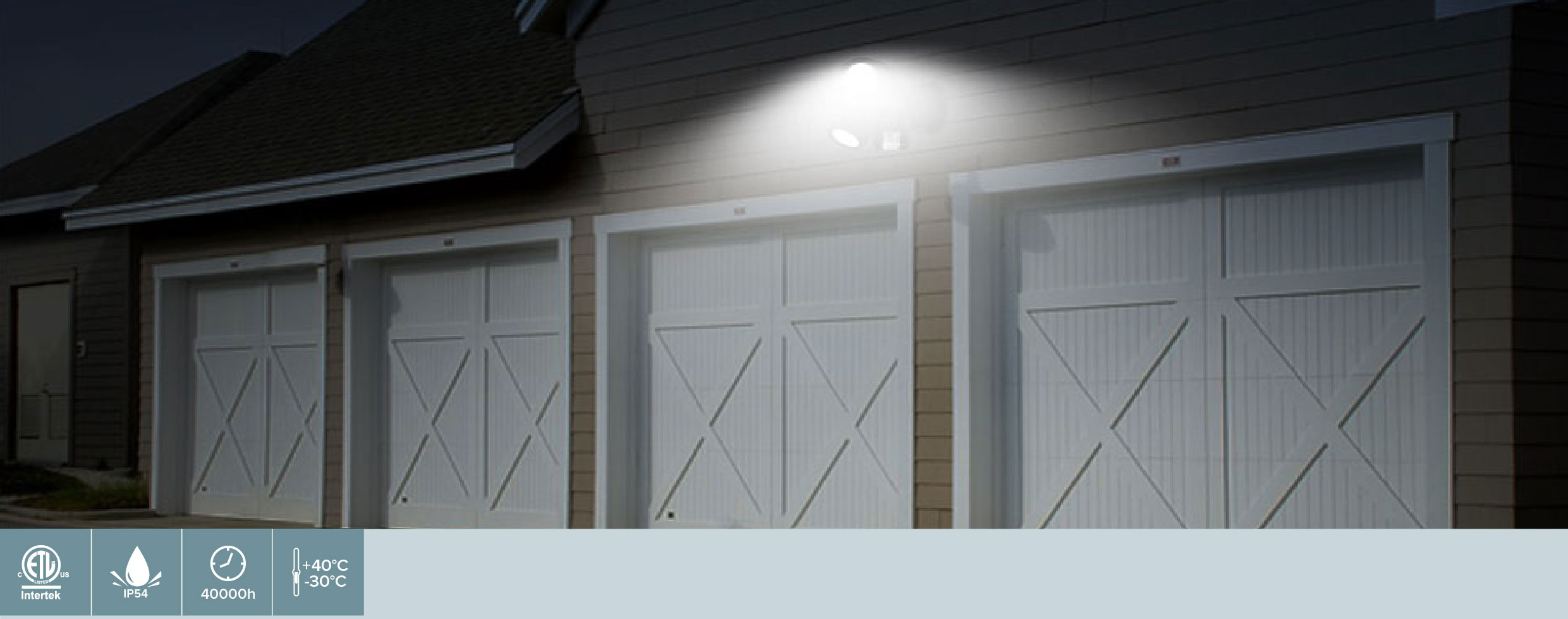 Security Light P220189