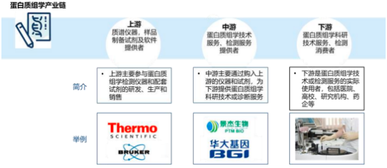 2022年蛋白质组学行业上中下游产业链重点企业发展战略研究及市场投资规模可行性评估预测