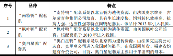 2022年肉鸭育种行业重点企业市场竞争规模分析预测及投资战略可行性研究