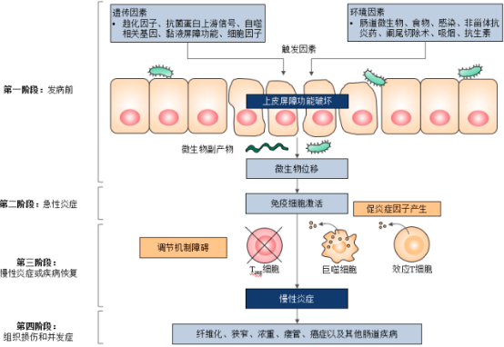 2022年炎症性肠病药物行业市场需求规模前景预测及国内外重点企业竞争格局分析